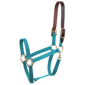 Economy Nylon Safety Horse Halter