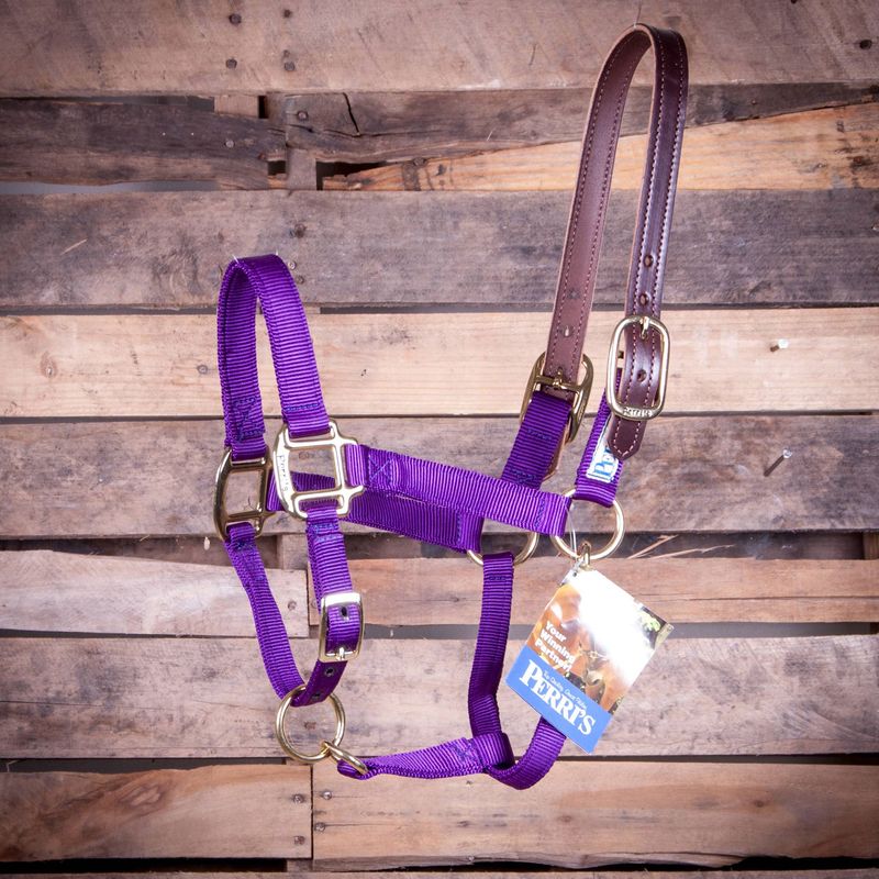 Perri's Breakaway Adjustable Horse Halter Jeffers