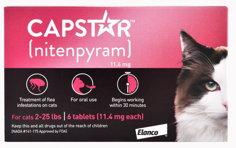 capstar flea and tick