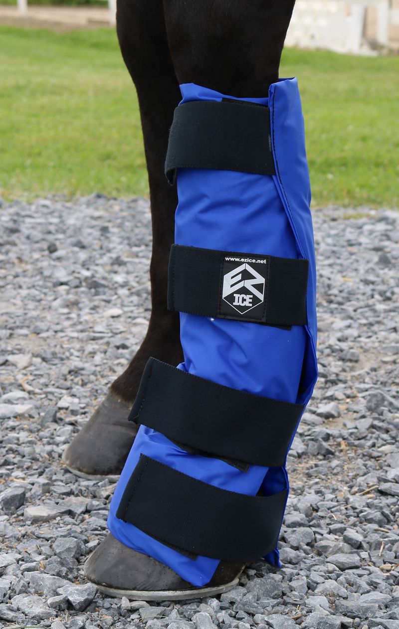 Ice hock boots for on sale horses