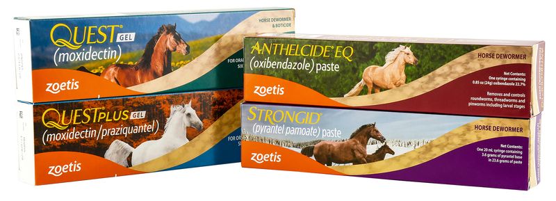 Zoetis-Horse-Deworming-Kit