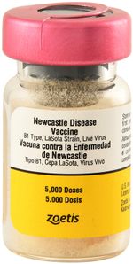 Newcastle-Disease-Vaccine-5000-dose
