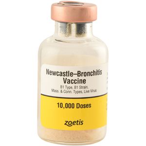 Newcastle-Bronchitis for Chickens