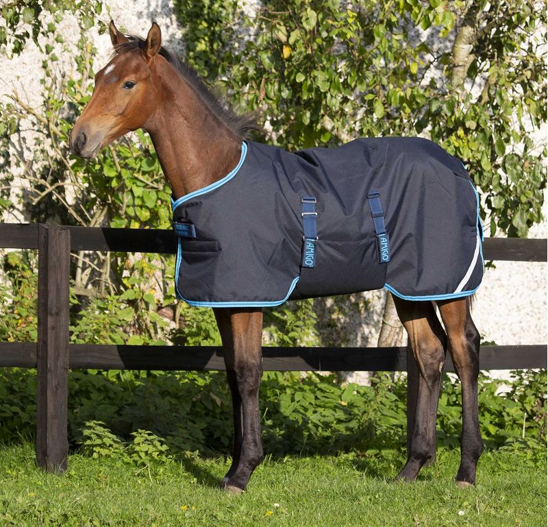 Amigo Medium Weight Foal Blanket Jeffers
