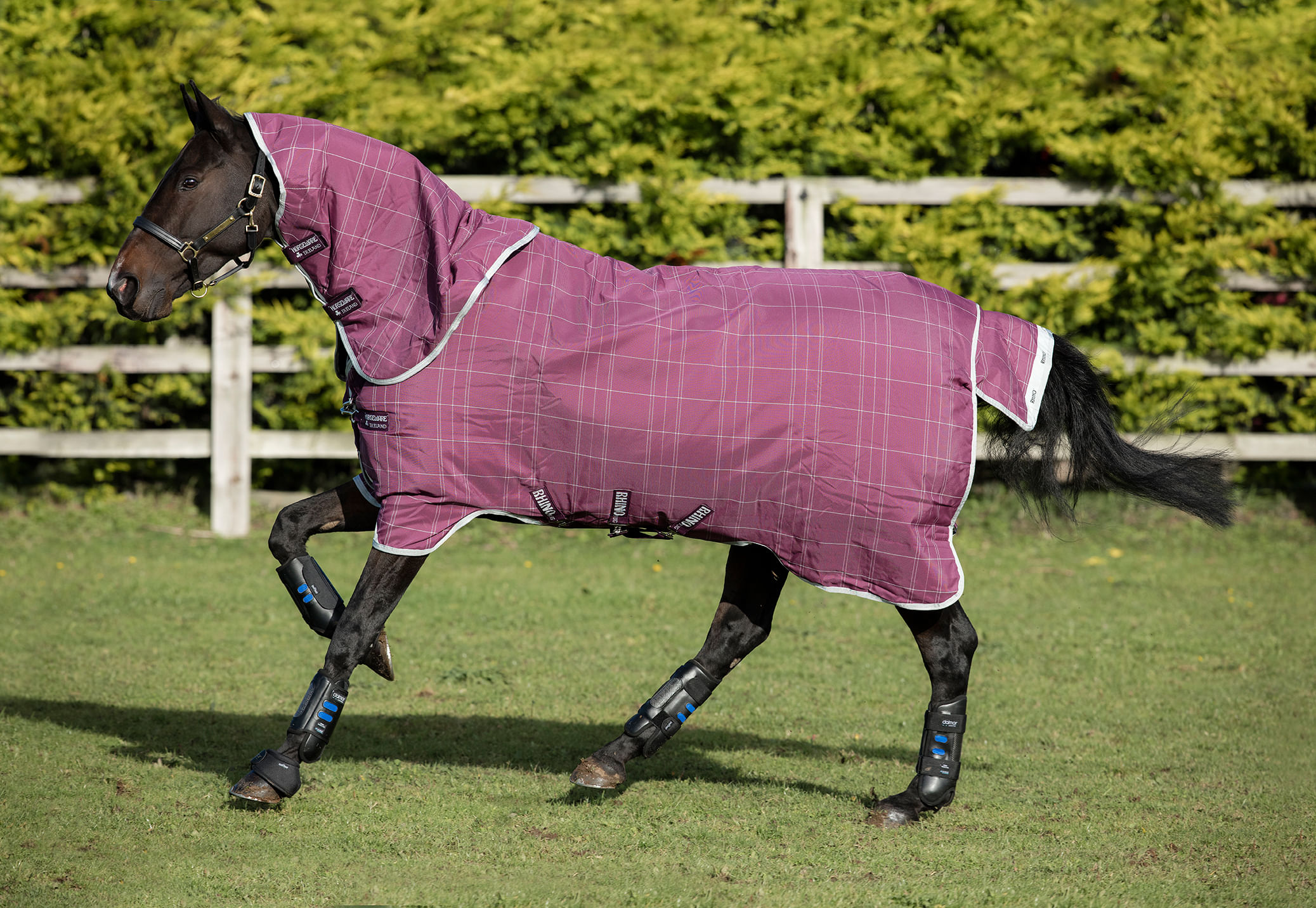 Rhino Plus 1000D VariLayer Horse Blanket, 450g Jeffers