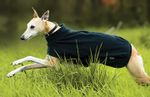Amigo-Fleece-Dog-Blanket