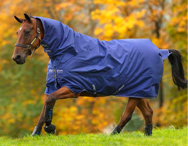 Amigo-Hero-900D-All-In-One-Turnout-Blanket