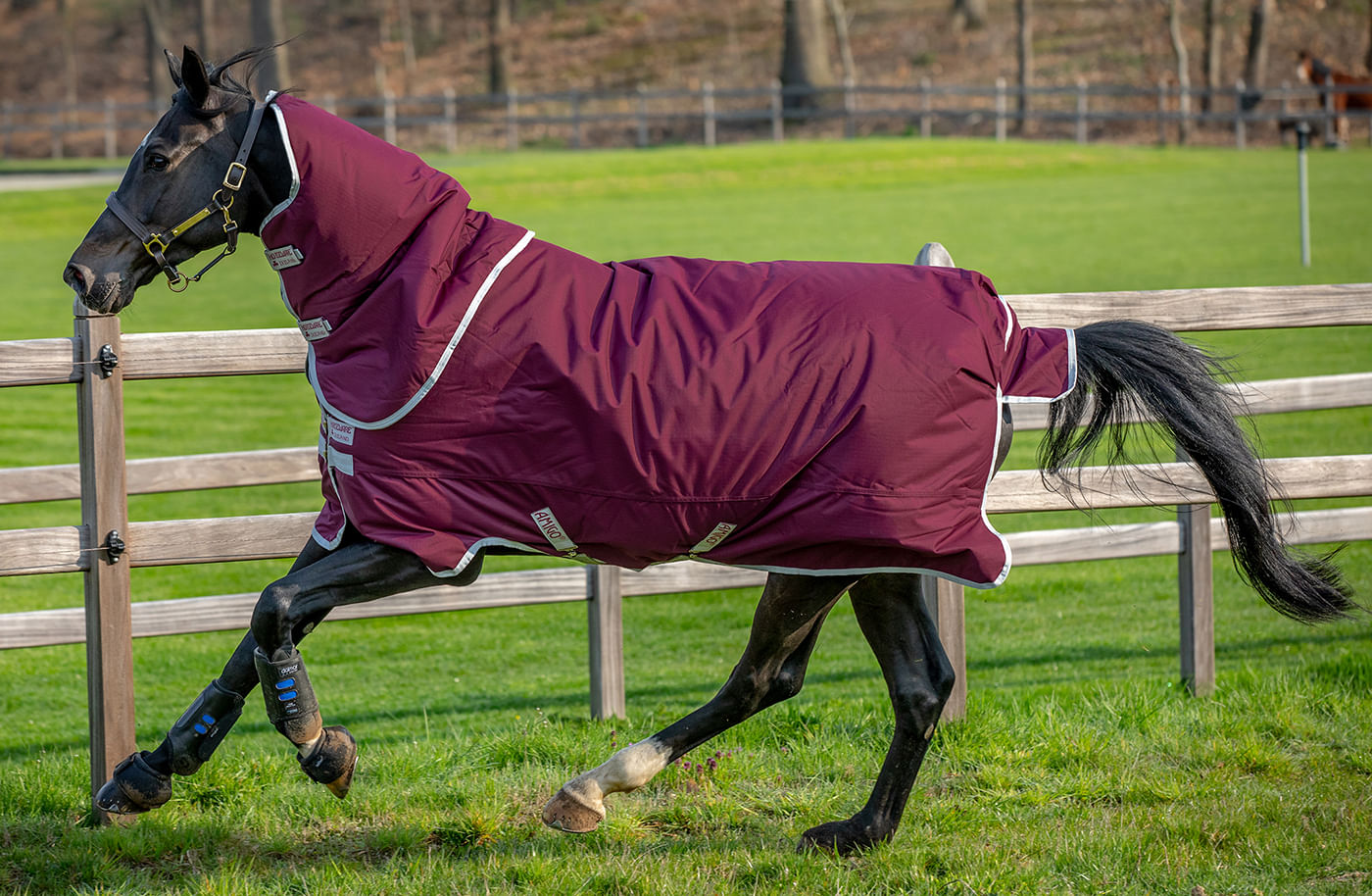 Amigo Hero Ripstop Plus Medium Weight Turnout Blanket Jeffers