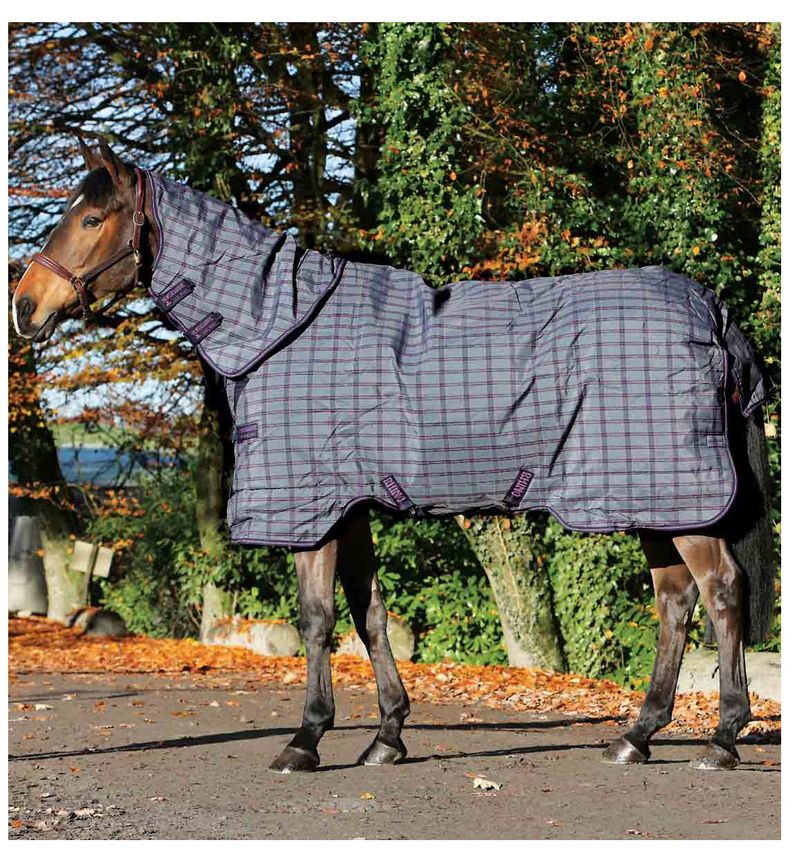 Rhino Plus 1000D Heavy Weight Horse Blanket Jeffers
