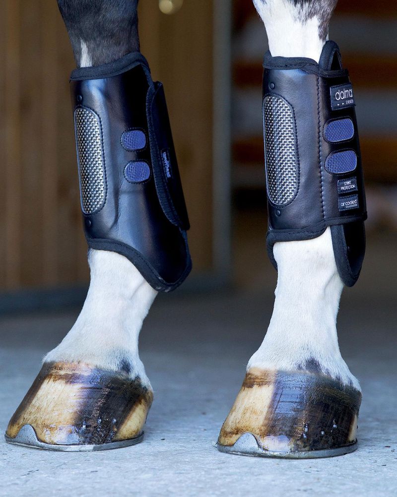 Dalmar-Eventer-Boots-front