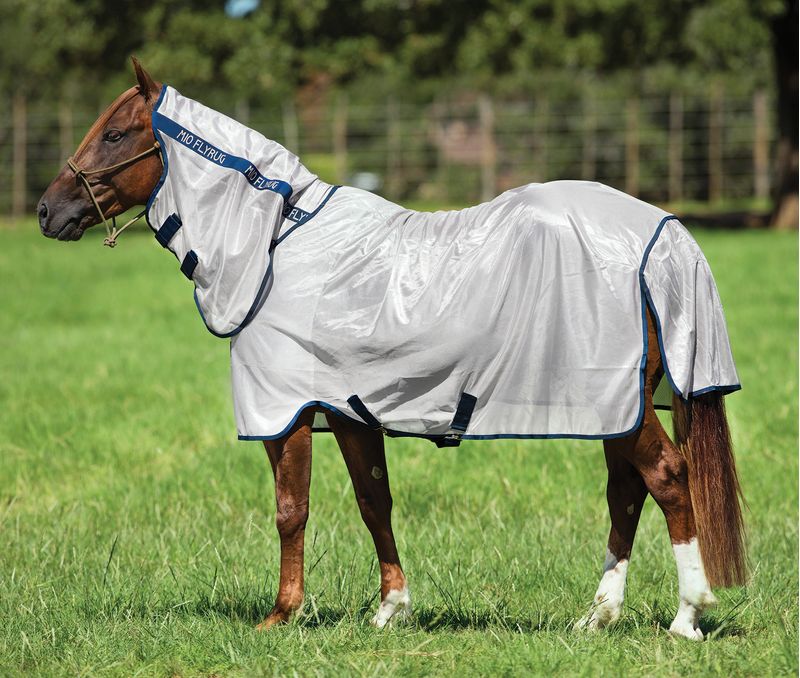 Amigo Mio Horse Fly Sheet Jeffers