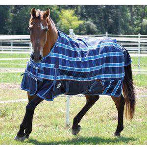 Jeffers 1200D Economy Plus Horse Blanket, Blue Plaid 240g