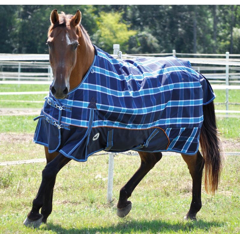 Jeffers-1200D-Economy-Plus-Horse-Blanket-Blue-Plaid-240g