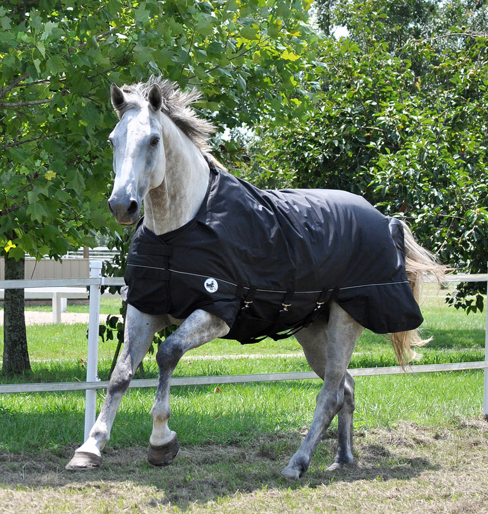 Jeffers equine hot sale blankets