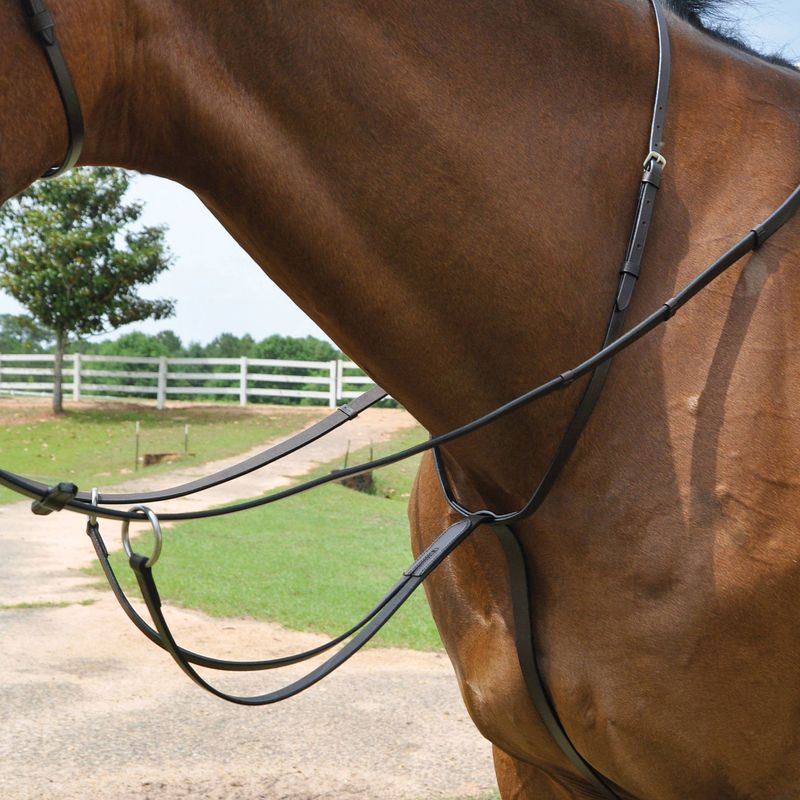 Jeffers Uniquely English Running Martingale Jeffers