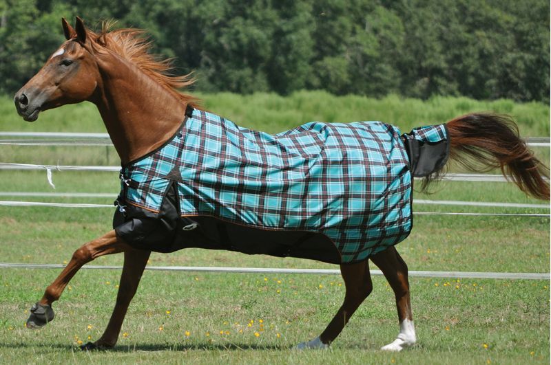 Jeffers Economy 600D Royal Blue/Teal Plaid Horse Blanket, 240g