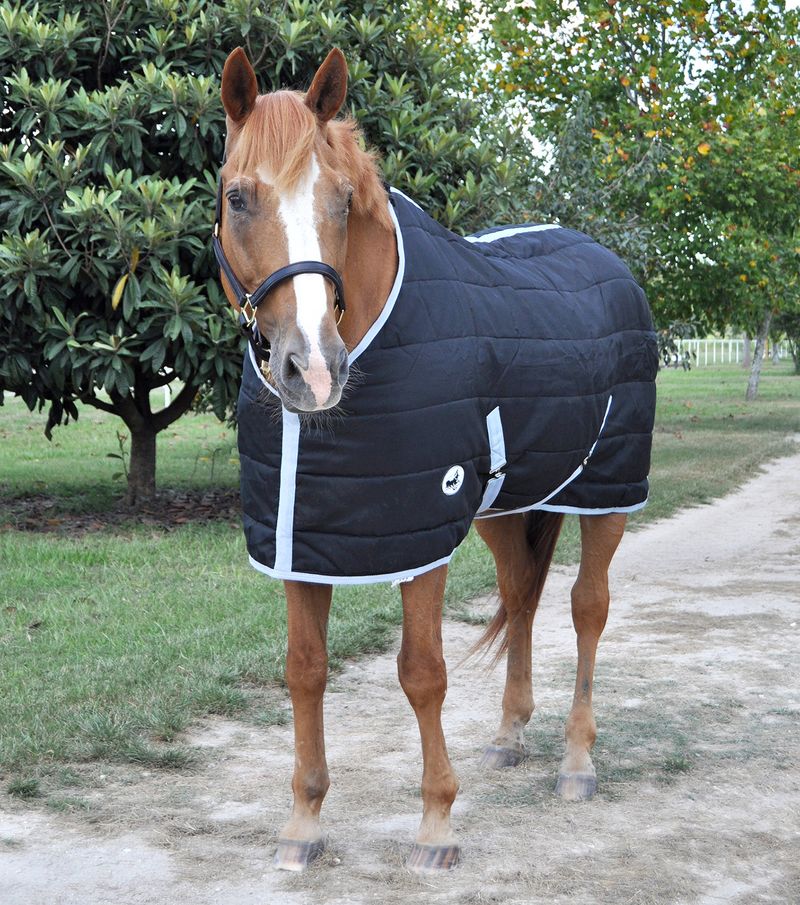 Jeffers Closed Front Horse Stable Blanket - Jeffers