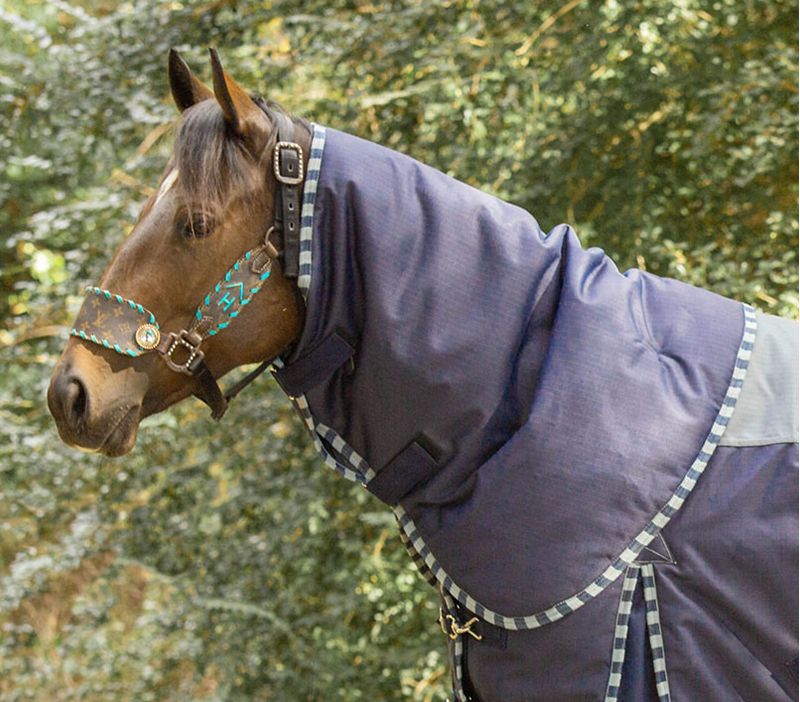 Jeffers-Economy-Plus-Medium-Turnout-w-Detachable-Neck-Rug-Gray-Navy