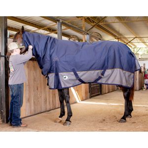 Jeffers Economy Plus Combo Neck Medium Weight Horse Turnout Blanket