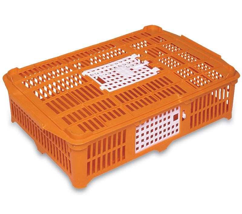 Small-Poultry-Shipping-Crate