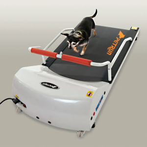 GoPet PetRun Small Breed Dog Treadmill - Jeffers