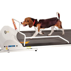 PetRun Small Medium Breed Treadmill (PR720F)