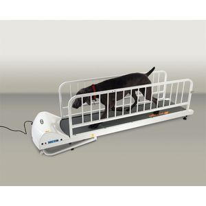 PetRun Large Breed Treadmill (PR725)