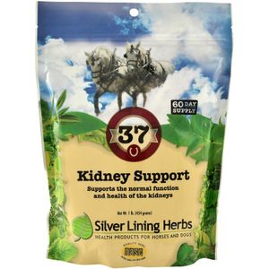 Silver Lining Herbs Kidney Support