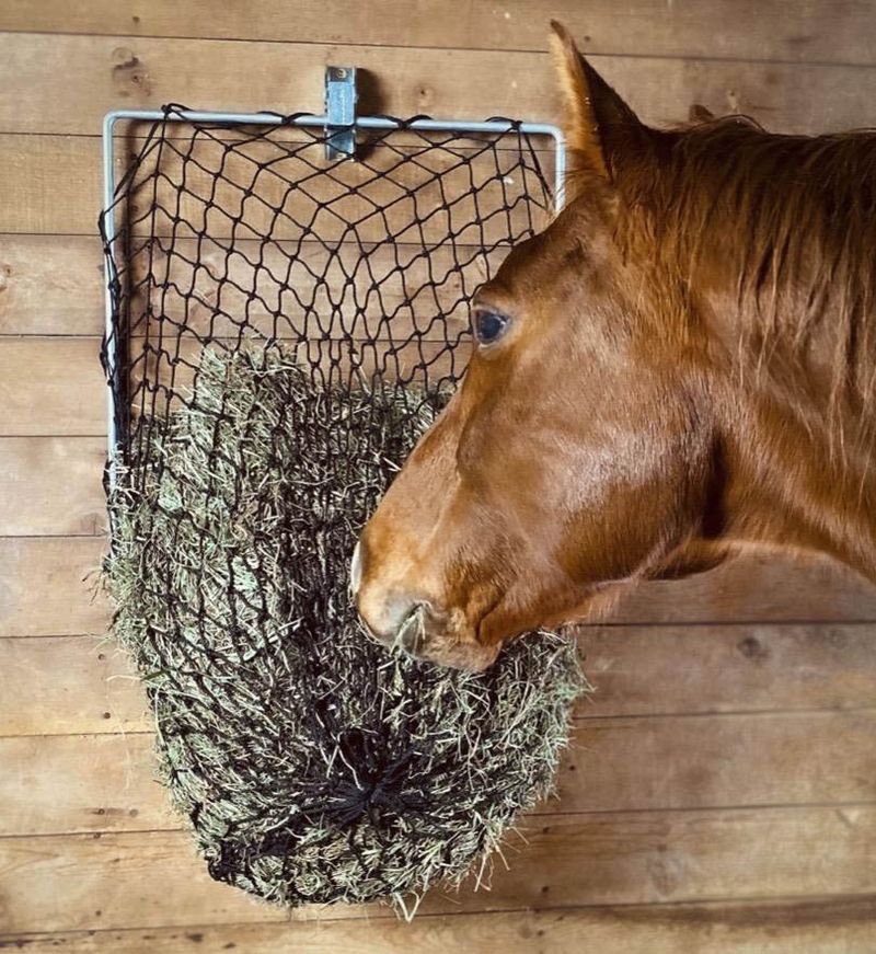 Hay-Chix-Free-Up-Feeder