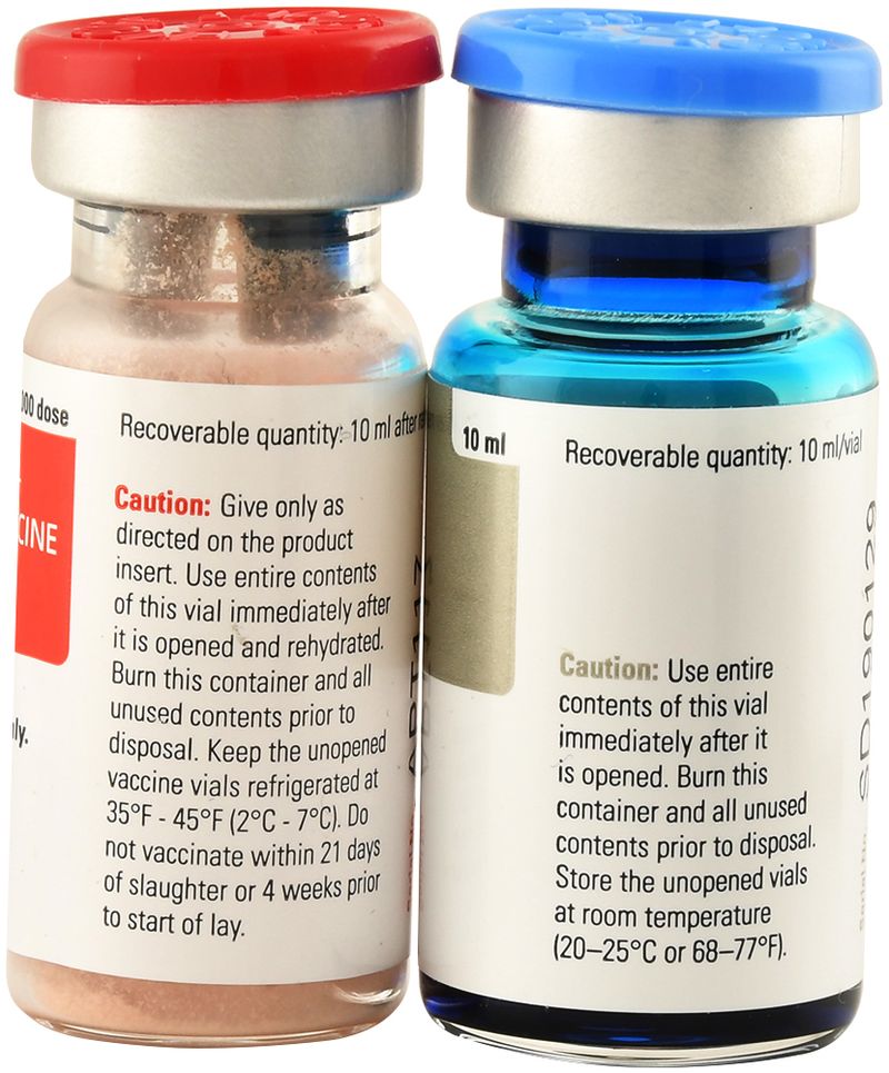 Avian EncephalomyelitisPigeon Pox Vaccine Jeffers