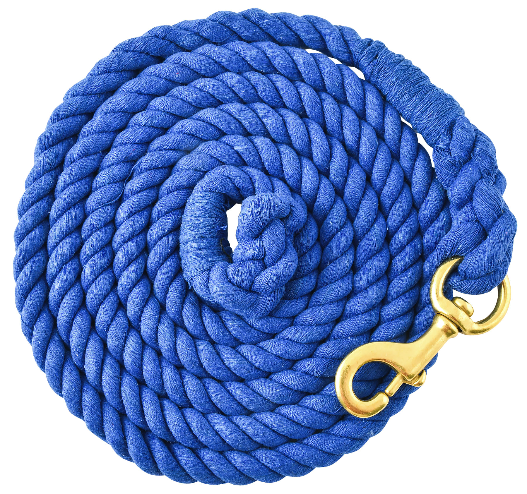 Colorful Cotton Horse Lead Rope, 3/4" x 10'L w/ brass bolt snap Jeffers
