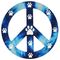 Peace Signs Magnet