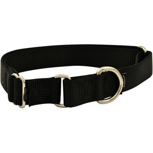 The Premier Dog Collar, 3/4" x 8" - 12"