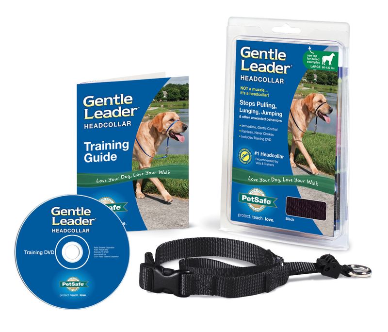 Leader collar for outlet dogs