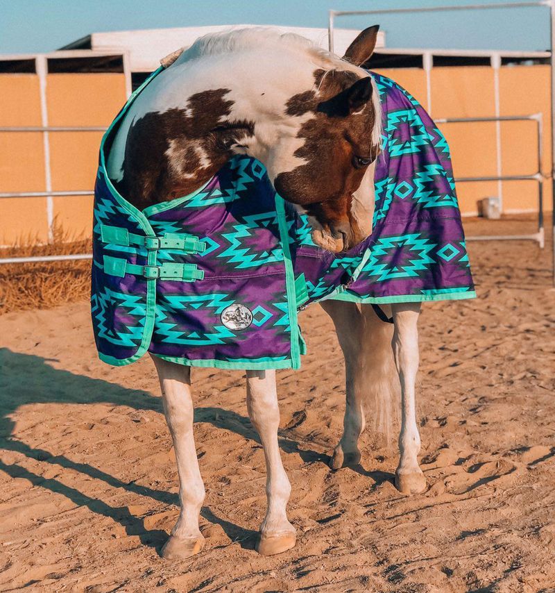 Jeffers sales horse blankets