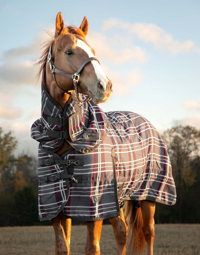 Jeffers-Solaris-1200-Denier-Medium-Turnout-Blanket-w-Neck-Rug