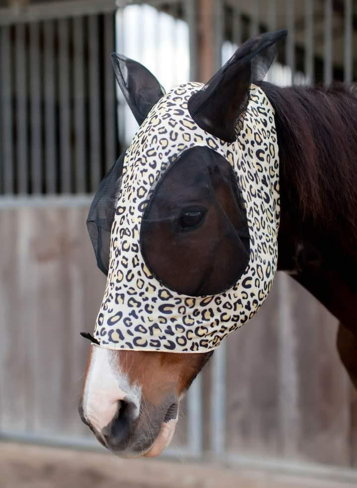 Jeffers-Expression--Electric-Cheetah--Lycra-Fly-Mask-with-Ears