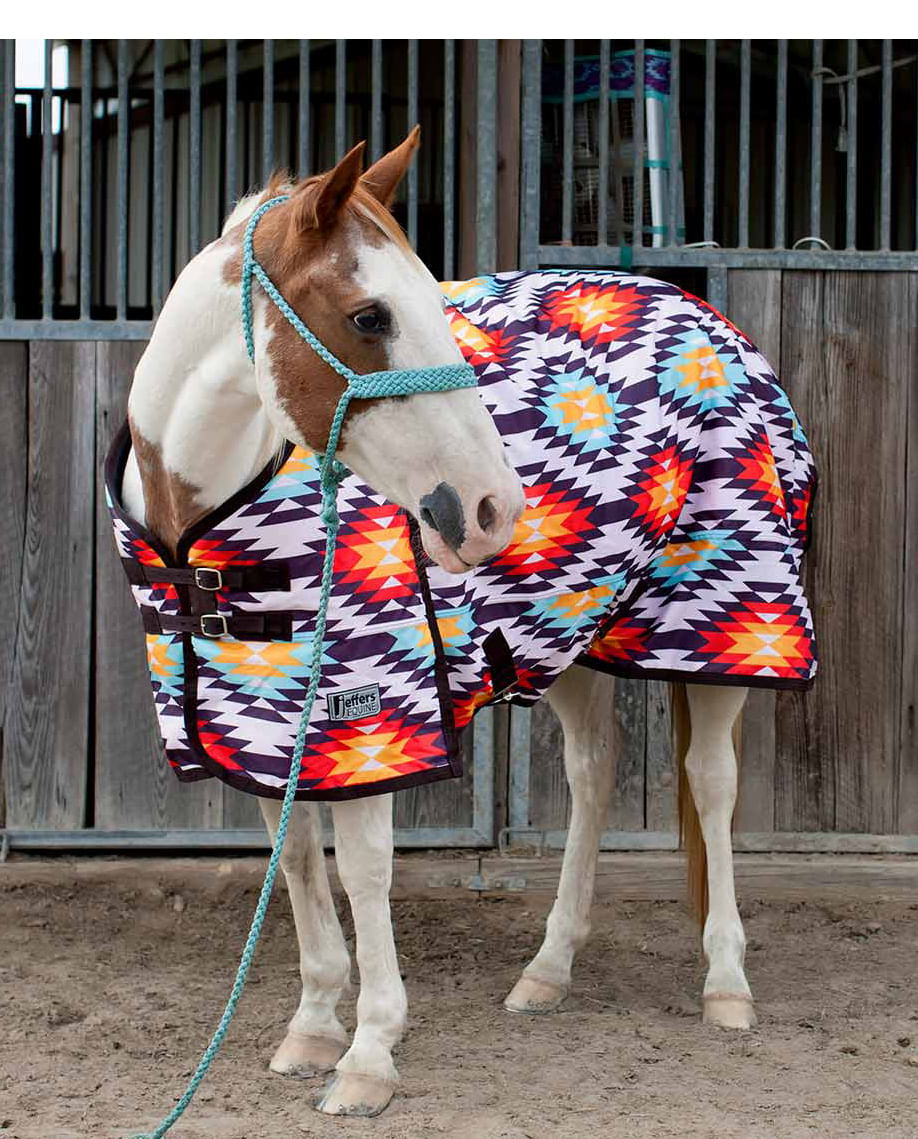 Jeffers Horse Blanket Pins - Jeffers