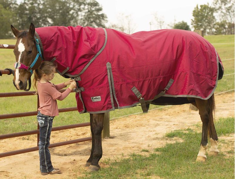 Jeffers sales horse blankets