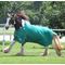 Jeffers 1680D Romper Stomper Horse Blanket,180g