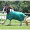 Jeffers 1680D Romper Stomper Horse Blanket,180g