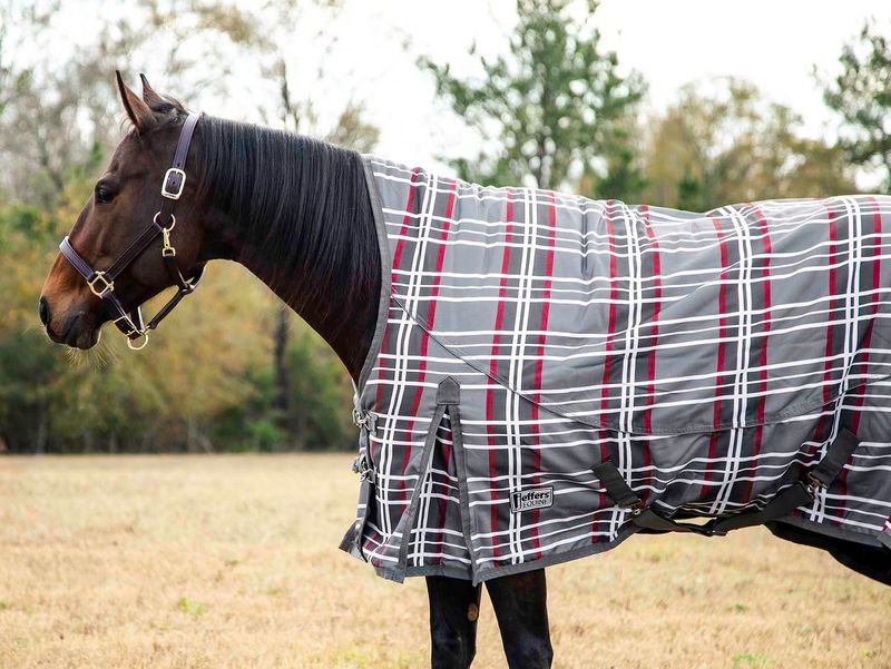 Jeffers best sale horse blankets