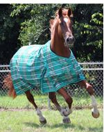 Jeffers-Solaris-1200-Denier-Medium-Draft-Turnout-Blanket