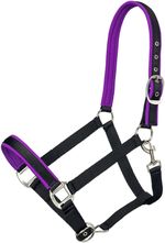 Padded-Nylon-Horse-Halter-Full