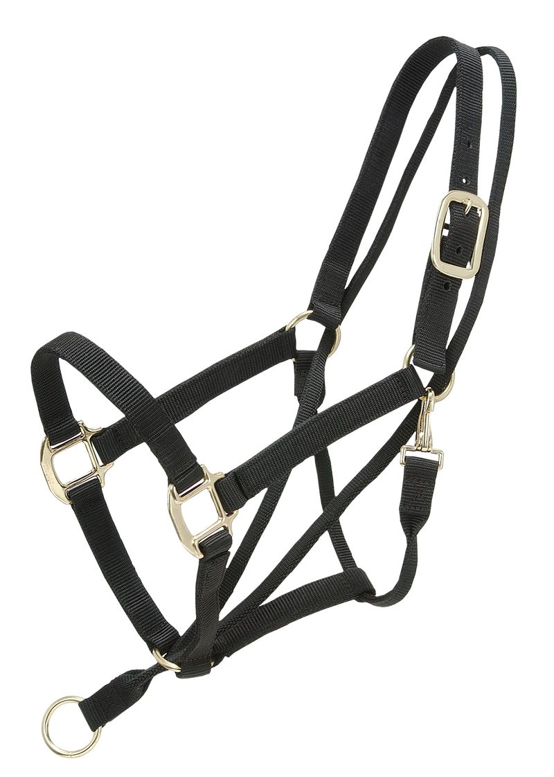 PullBack Halter Jeffers