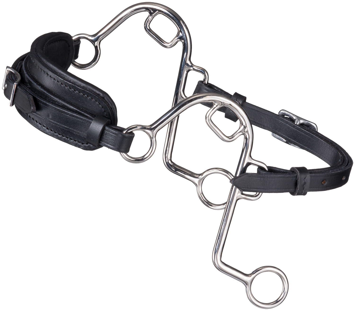 Leather Nose S Hackamore Jeffers