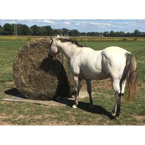 Tough 1 Round Bale Slow Feed 2x2 Hay Net for Horses