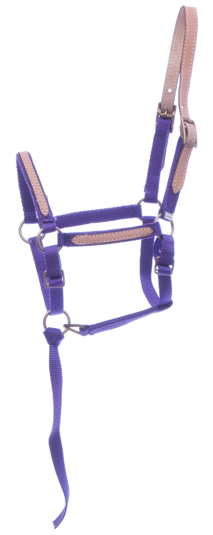 Miniature Horse Breakaway Halter, Large Jeffers