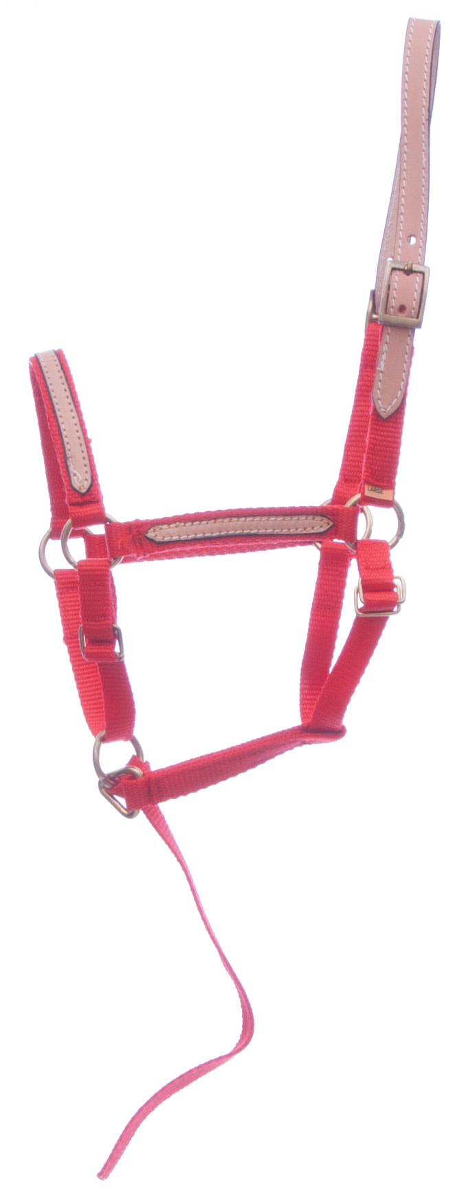 Miniature Horse Breakaway Halter, Large Jeffers