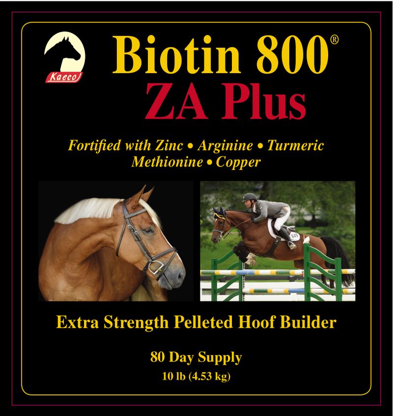 Biotin-800-ZA-Plus